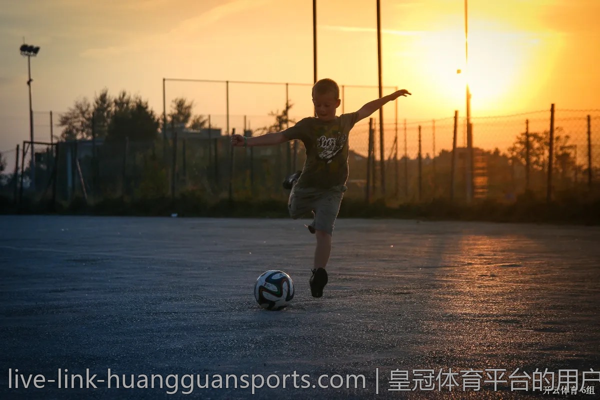 皇冠体育平台的用户友好性如何?一手评测分享